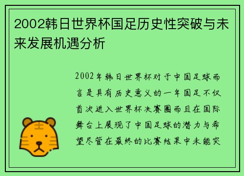2002韩日世界杯国足历史性突破与未来发展机遇分析