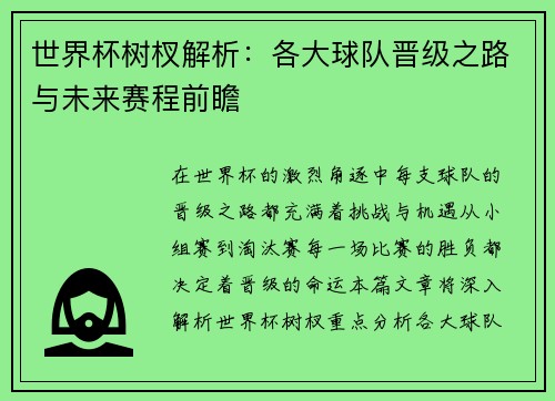 世界杯树杈解析：各大球队晋级之路与未来赛程前瞻