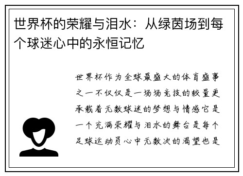 世界杯的荣耀与泪水：从绿茵场到每个球迷心中的永恒记忆